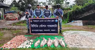 বরগুনায় কোস্টগার্ডের অভিযানে অবৈধ জাল, ট্রলারসহ ১৩ জেলে আটক